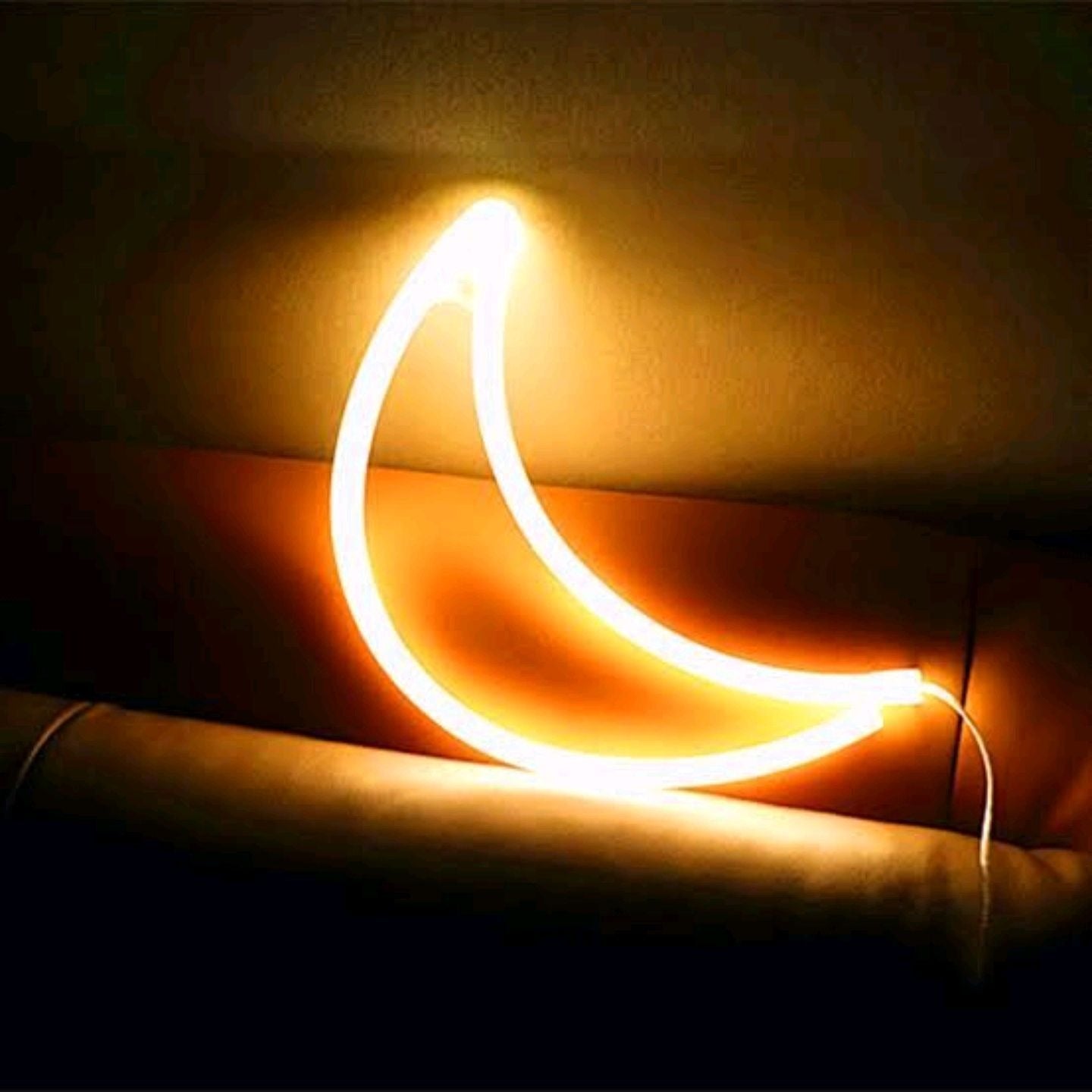 Moon Neon LED Night Light